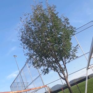 Meet your Posher, Cami